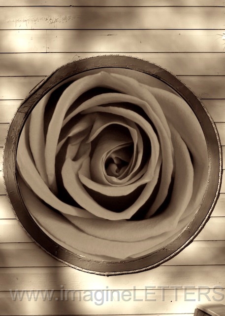 Wall_Art_Alphabet_Photography_Art_ 1621.jpg